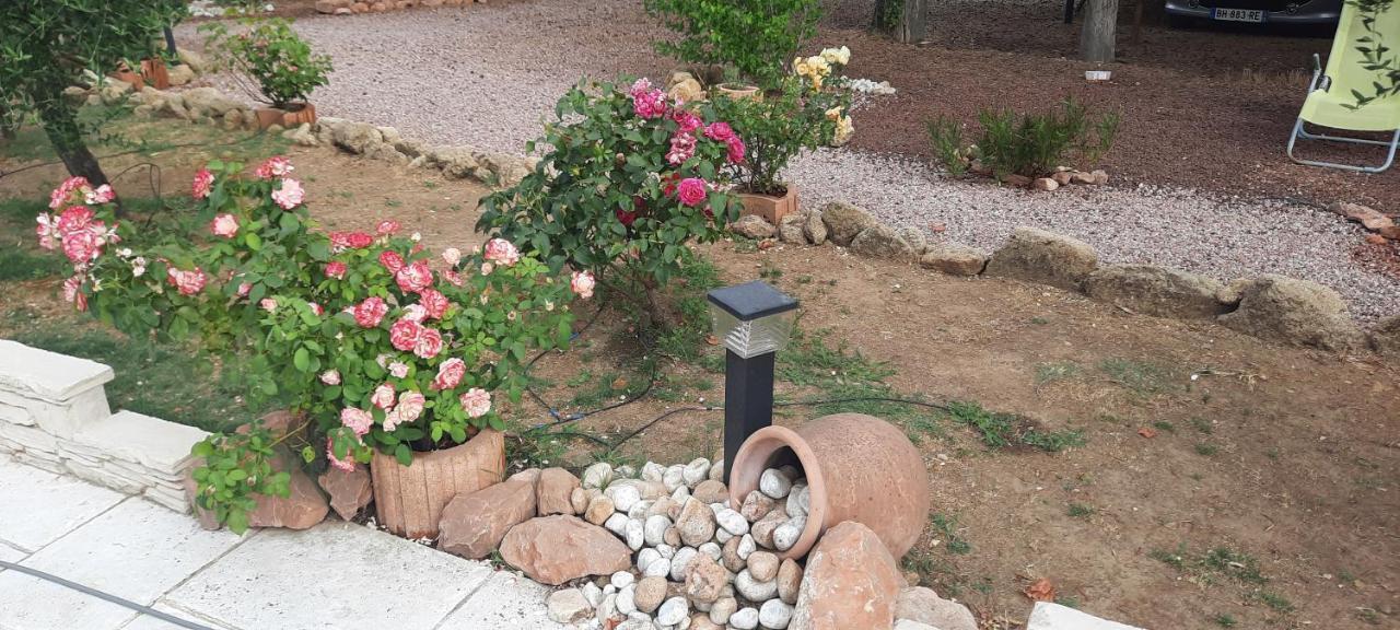 Fenetre Sur Les Alpilles Bed & Breakfast Saint-Martin-de-Crau Ngoại thất bức ảnh